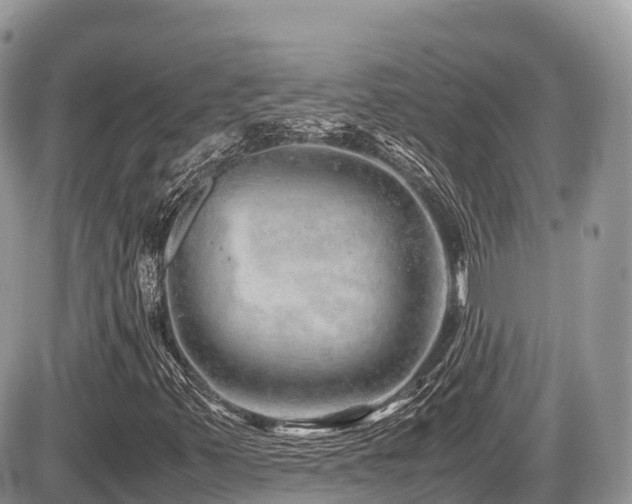 X0000087421347200704201415