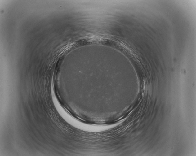 X0000087421348200704201415