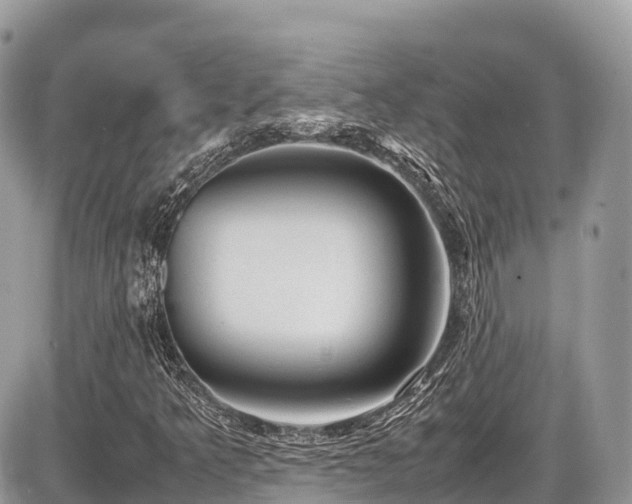 X0000087421349200704201415