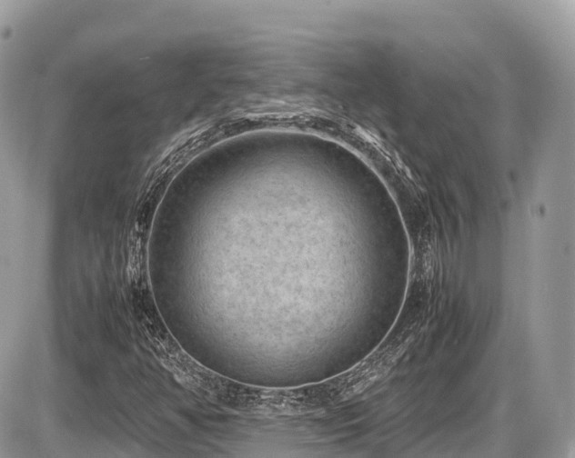 X0000087421350200704201415