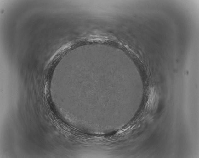 X0000087421351200704201415