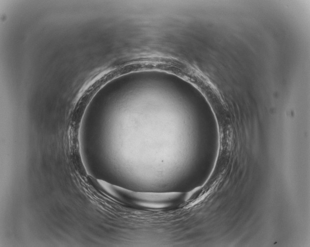 X0000087421352200704201415