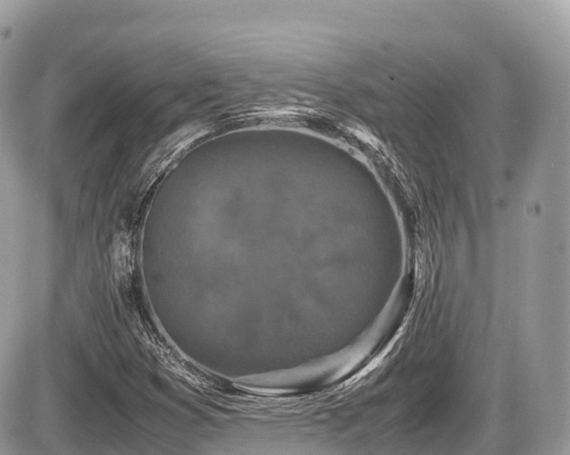 X0000087421353200704201415