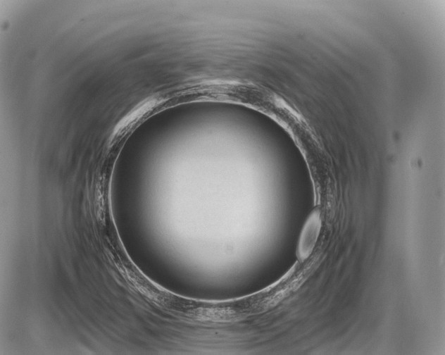 X0000087421354200704201415