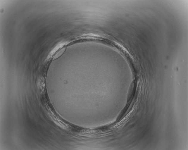 X0000087421355200704201415