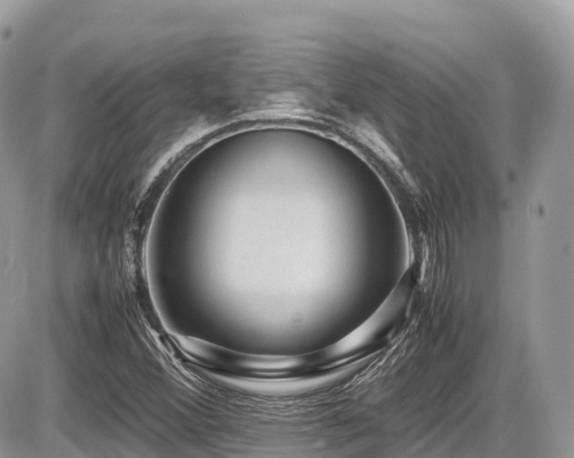 X0000087421356200704201415