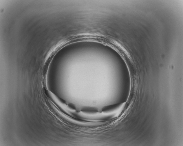 X0000087421357200704201415