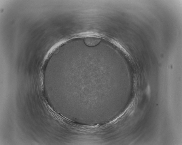 X0000087421358200704201415