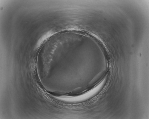 X0000087421359200704201415