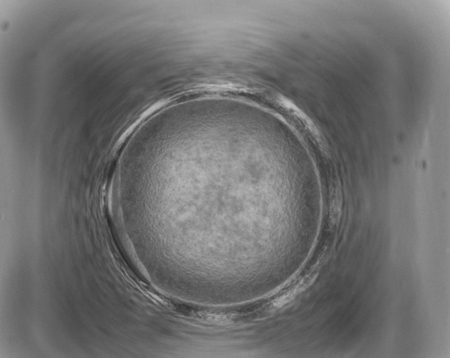 X0000087421361200704201415