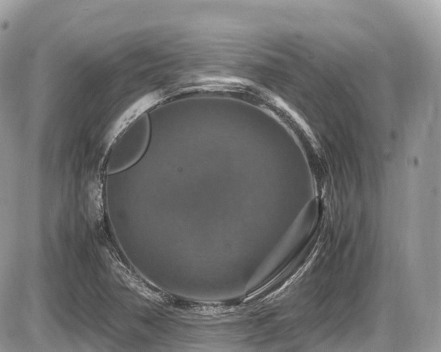 X0000087421362200704201415