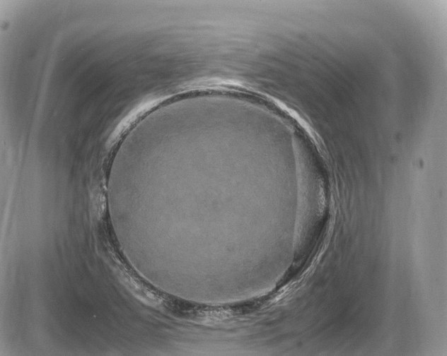 X0000087421363200704201415