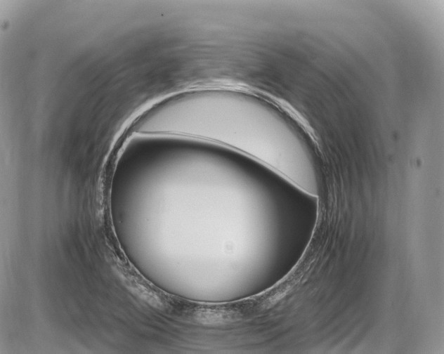 X0000087421364200704201415