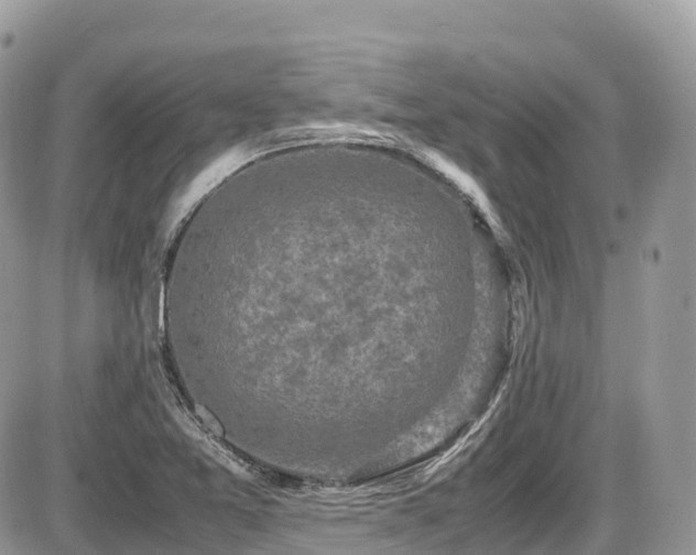 X0000087421365200704201415