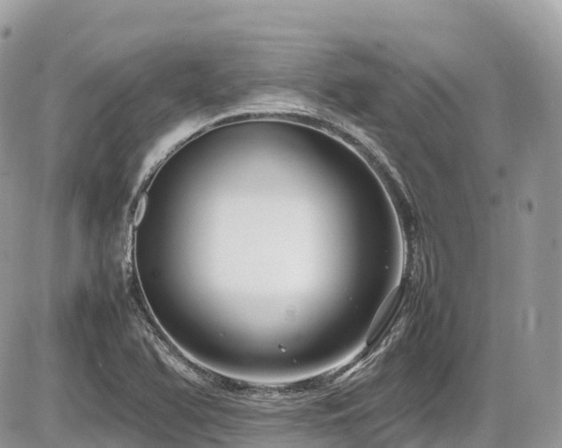 X0000087421366200704201415