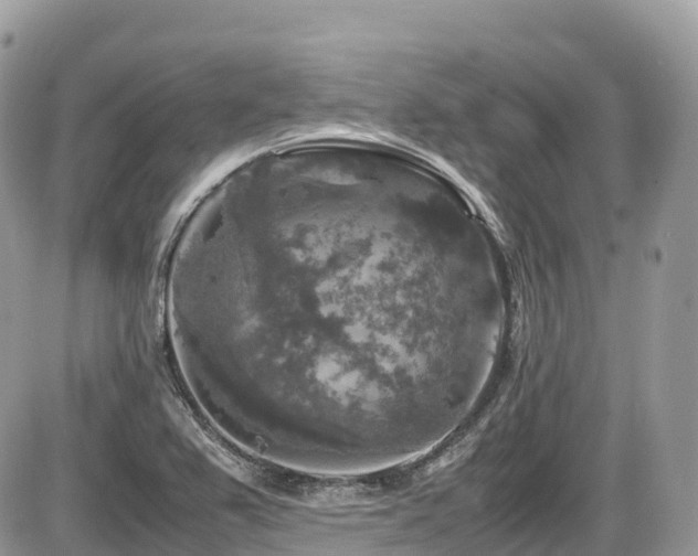 X0000087421367200704201415