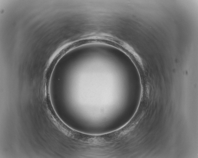 X0000087421368200704201415