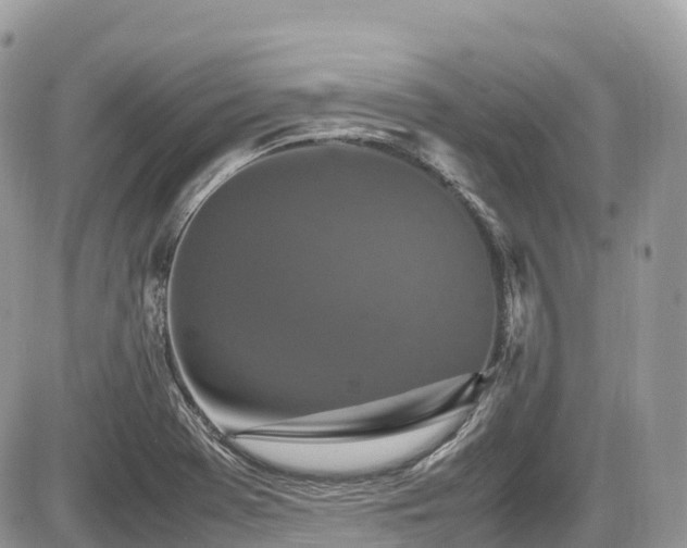 X0000087421369200704201415