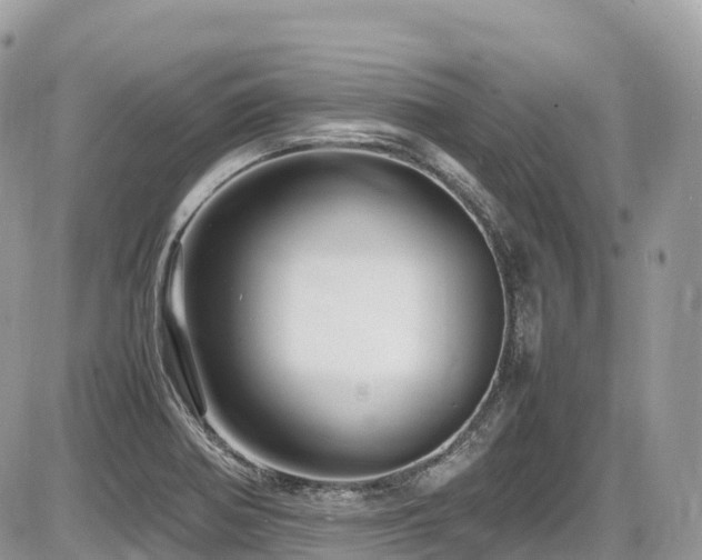 X0000087421370200704201415