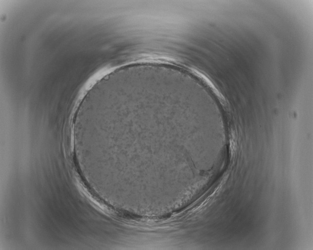 X0000087421371200704201415