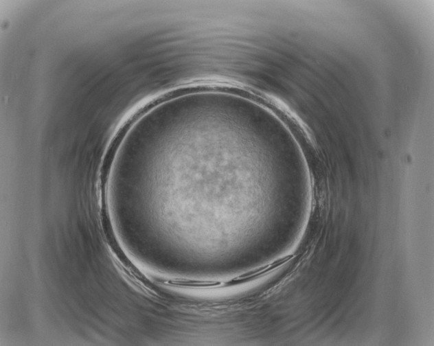 X0000087421372200704201415