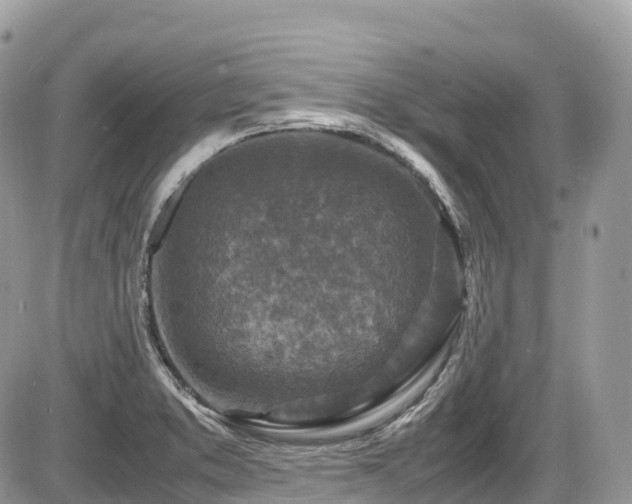 X0000087421373200704201415