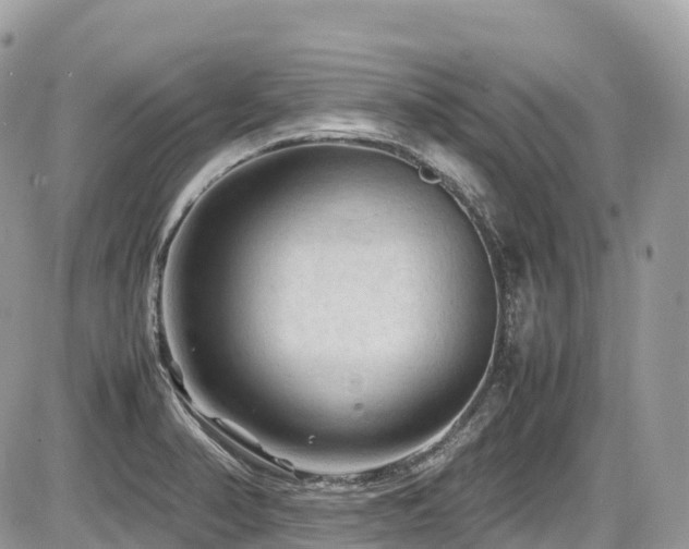 X0000087421374200704201415