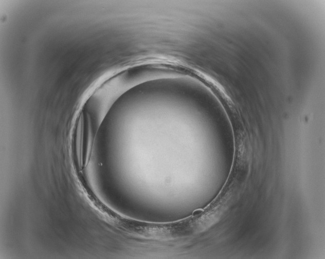 X0000087421375200704201415