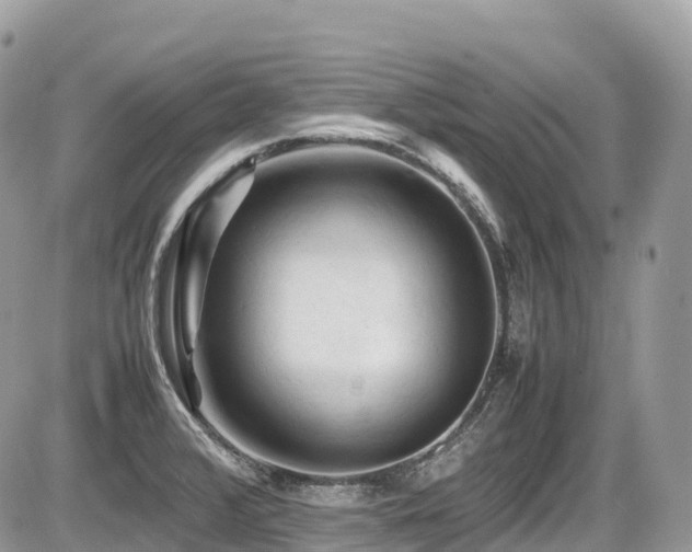 X0000087421376200704201415