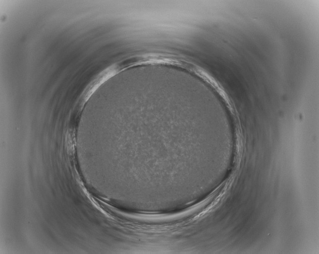 X0000087421377200704201415