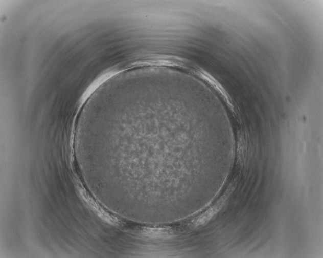 X0000087421378200704201415