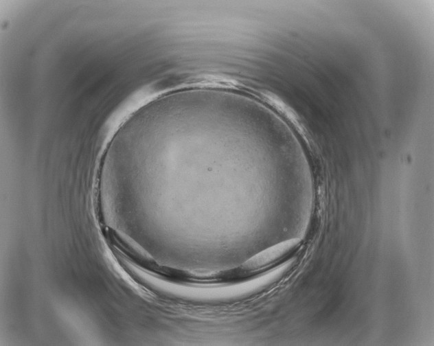 X0000087421379200704201415