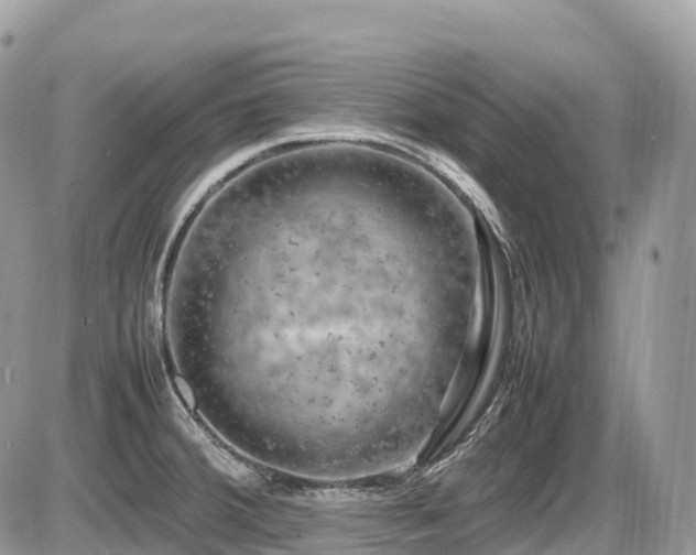 X0000087421380200704201415