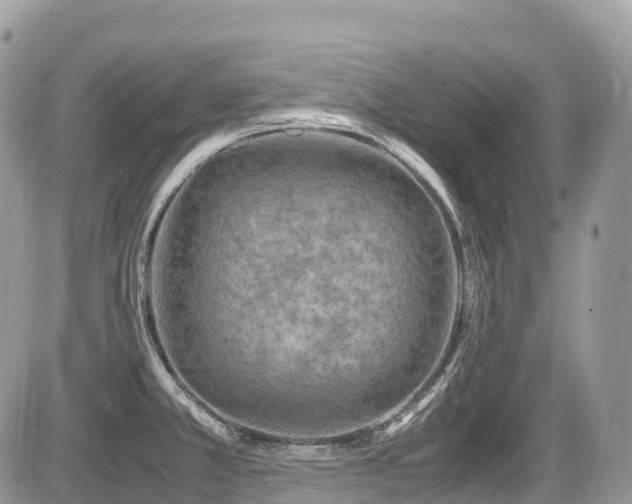 X0000087421381200704201415