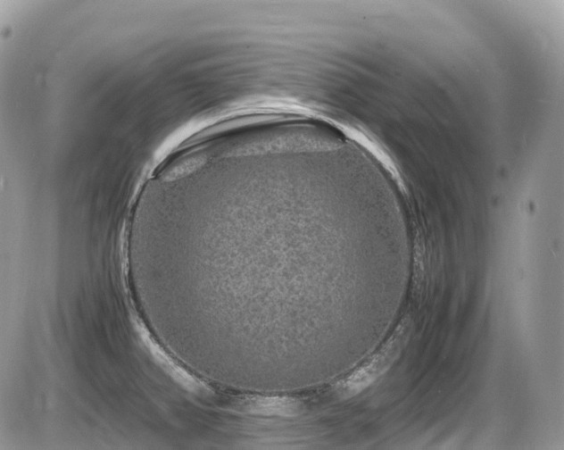 X0000087421382200704201415