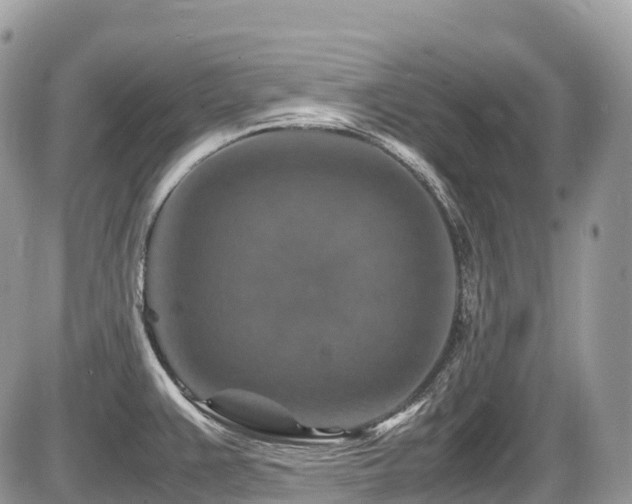 X0000087421383200704201415