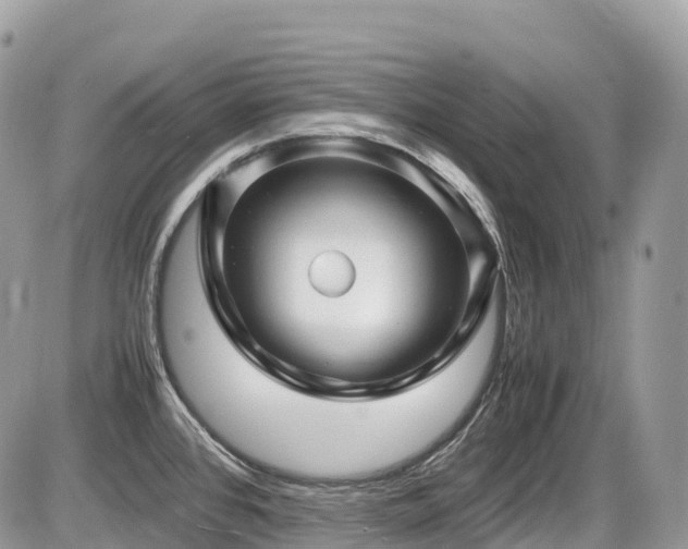 X0000087421384200704201415