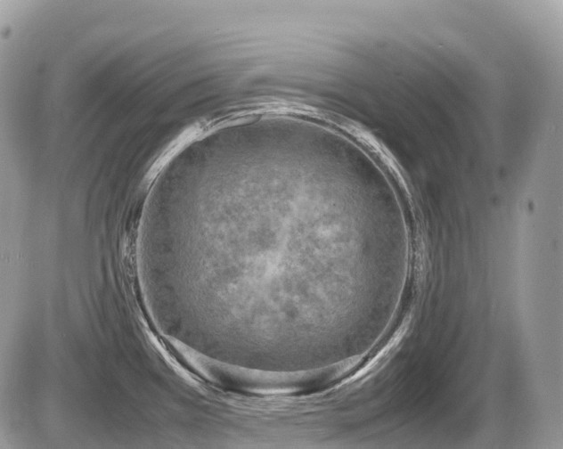 X0000087421385200704201415