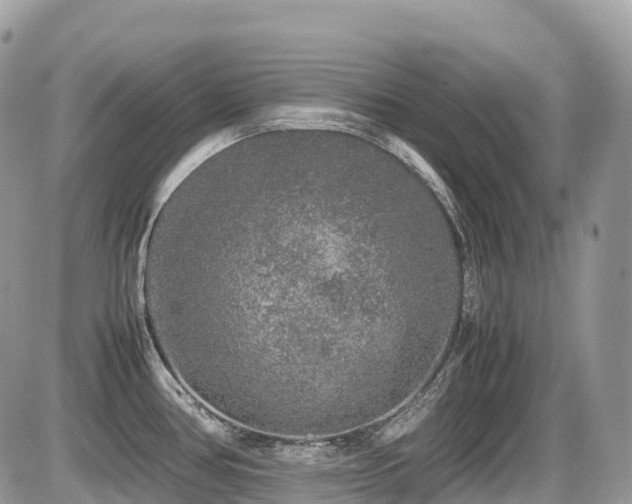 X0000087421386200704201415