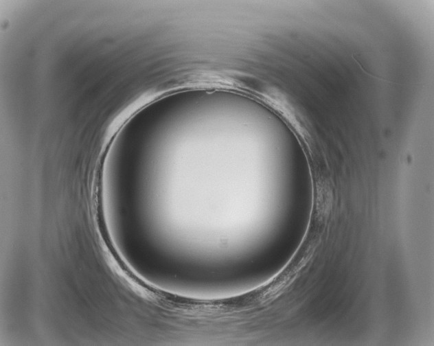 X0000087421387200704201415