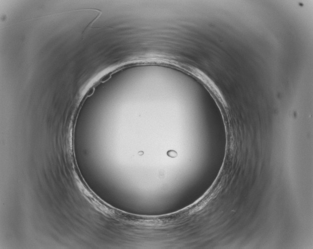 X0000087421388200704201415