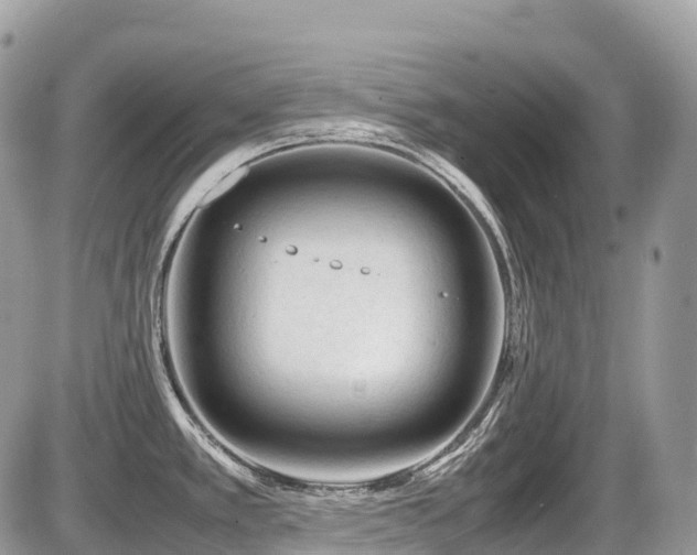 X0000087421389200704201415