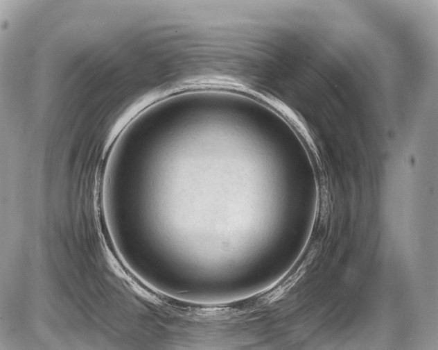 X0000087421390200704201415