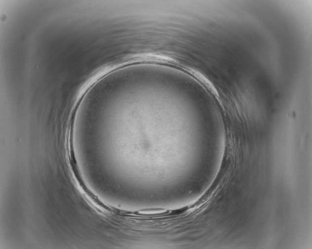 X0000087421391200704201415