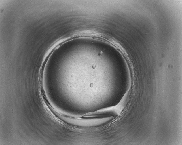 X0000087421392200704201415