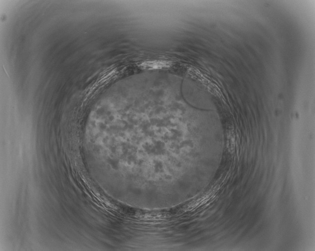 X0000087421393200704201414