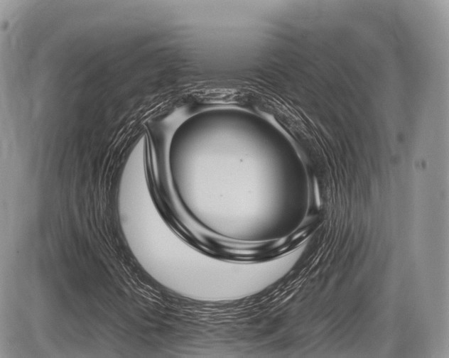 X0000087421394200704201414