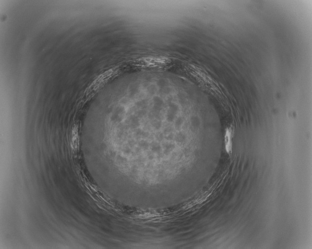 X0000087421395200704201414