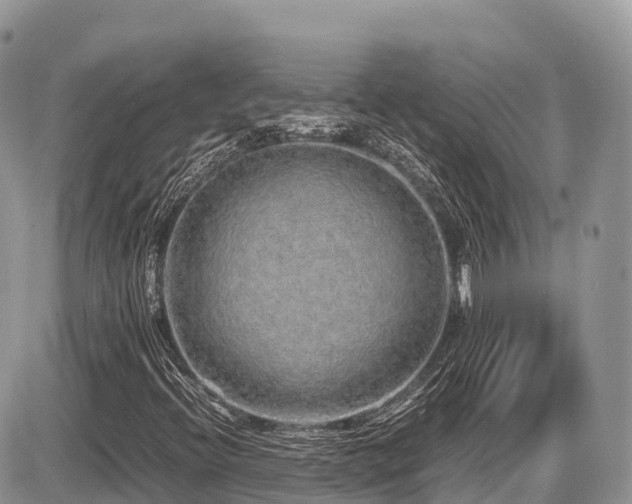 X0000087421396200704201414