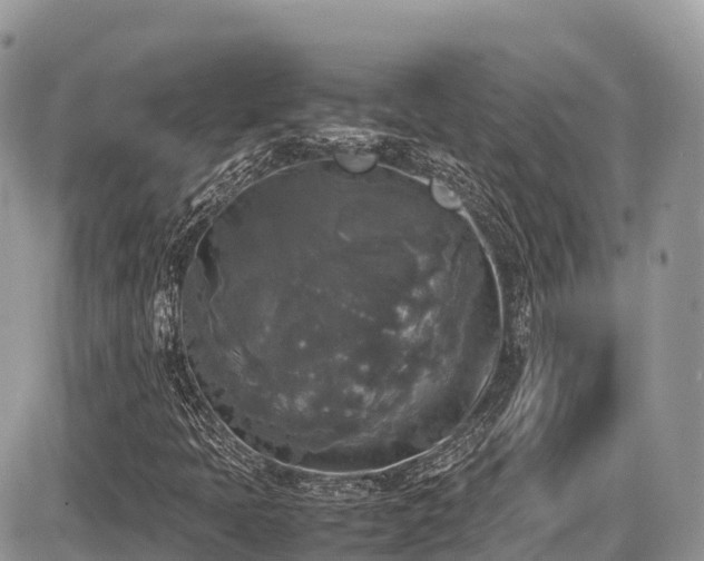 X0000087421397200704201414